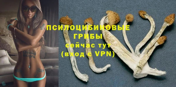 2c-b Пересвет