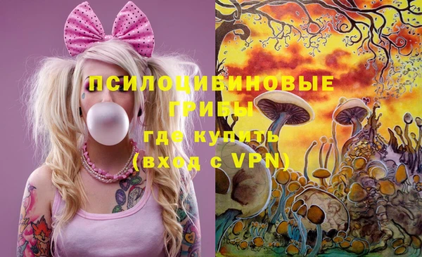 2c-b Осинники