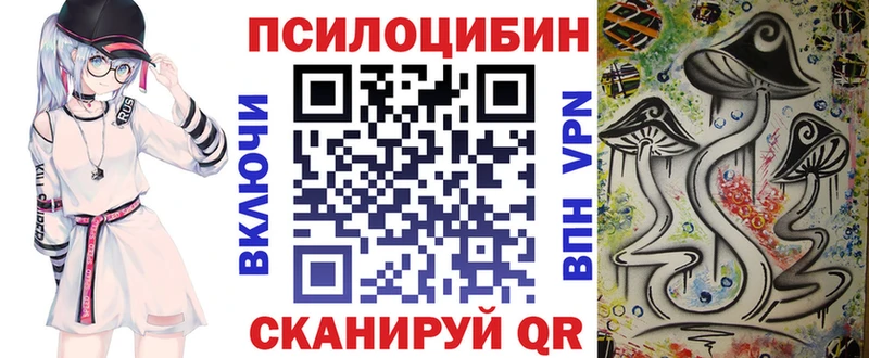 Галлюциногенные грибы Psilocybine cubensis  Боготол 